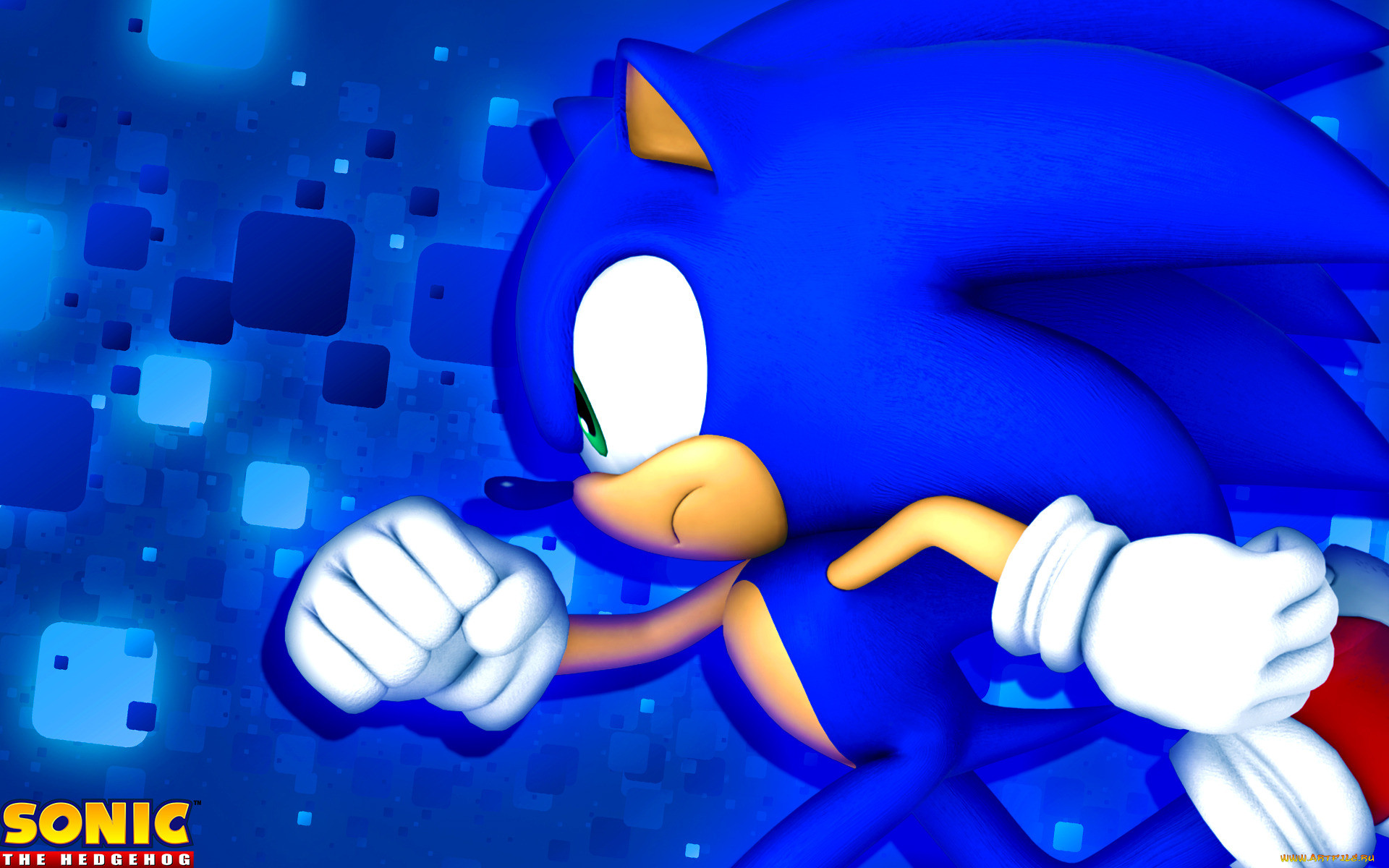 Sonic видео игры. Ёж Соник. Sonic the Hedgehog (игра, 2006).